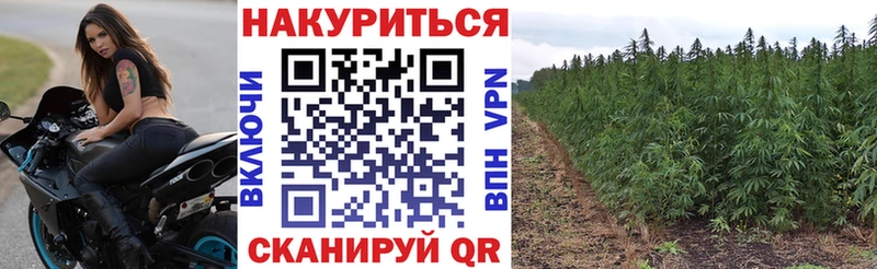 Купить закладку Вейп ТГК  A-PVP  ГАШИШ  Псилоцибиновые грибы  МЕФ  Марихуана  Мышкин