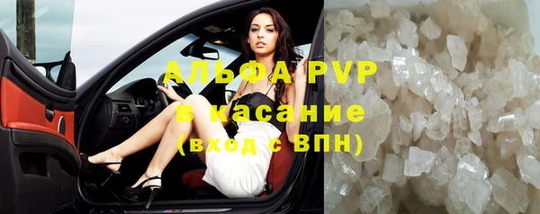 ECSTASY Бородино