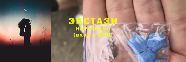ECSTASY Бородино