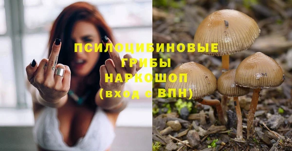 mdpv Володарск