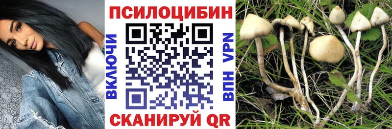 Галлюциногенные грибы Psilocybine cubensis  Купить закладки  Мышкин 